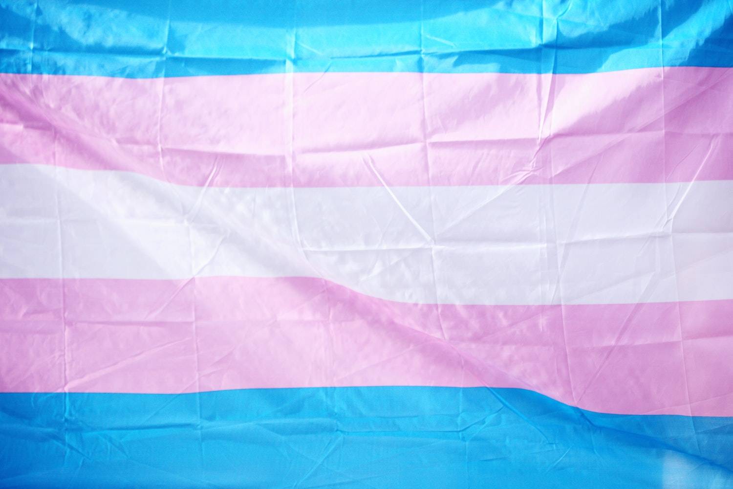 FILED: Fifth Circuit Must Reconsider Opinion that Misgenders Trans Litigant